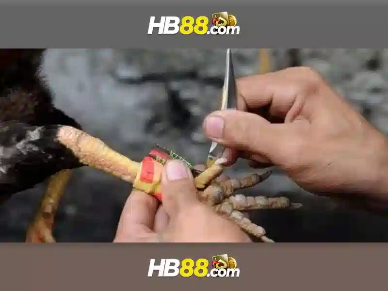 Tải Game Slot HB88
