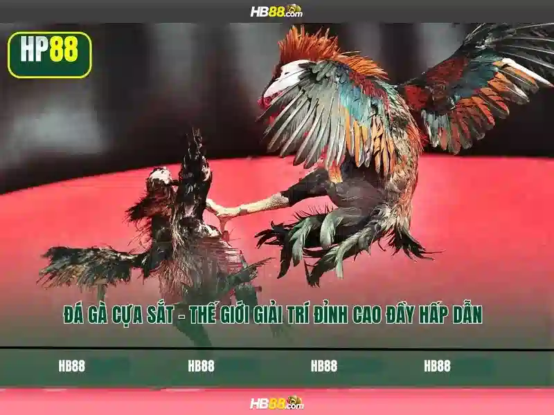 Quy Trình Tải App HB88