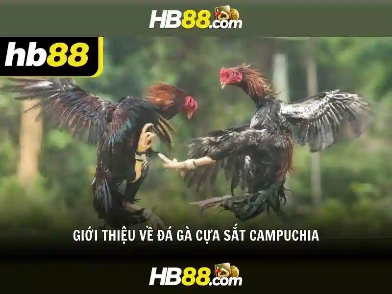 Đăng ký hb88 nhà cái