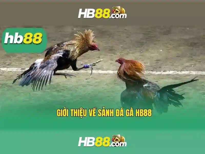 Hướng Dẫn Tải hb88 Android