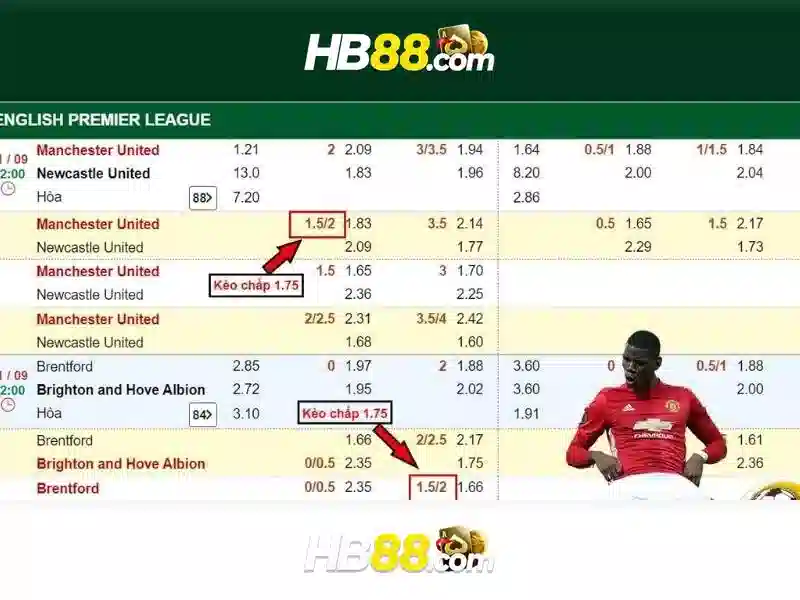 hướng dẫn liên hệ hỗ trợ hb88