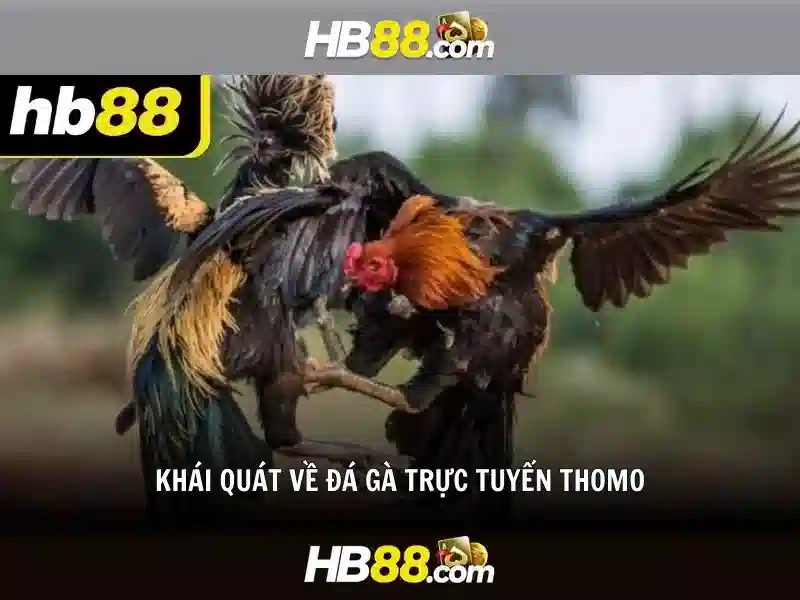 Quy trình nạp tiền tại HB88