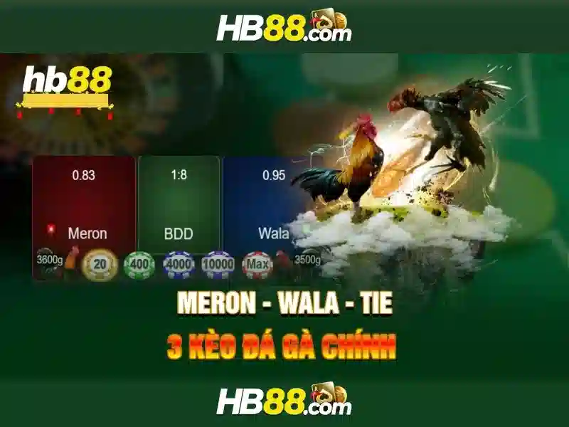Hỗ trợ 24/7 cho người chơi