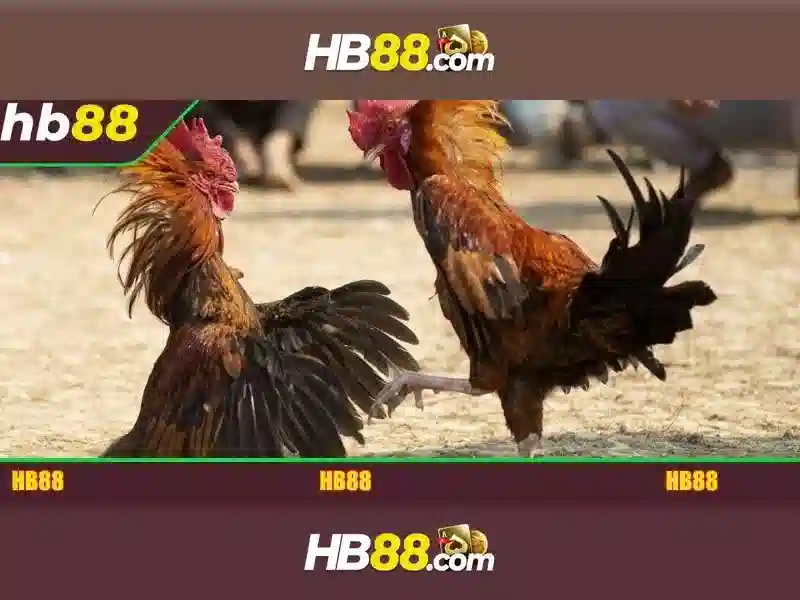 Ưu điểm tải app hb88