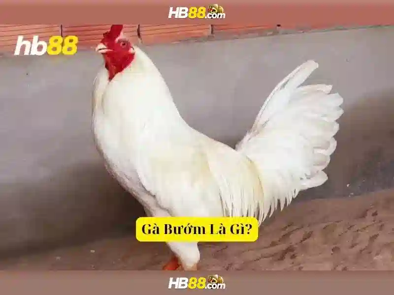 Tải App HB88
