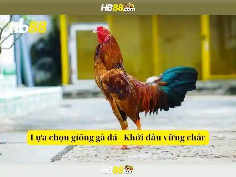 HB88 – Trang Chủ hb88.com – Trải Nghiệm Slot Đỉnh Cao 2026