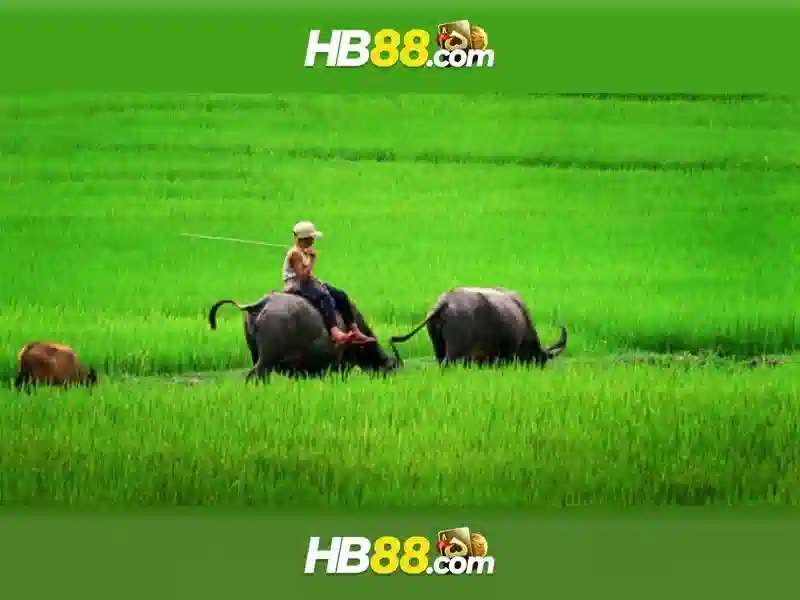 HB88 – Trang Chủ HB88 – Trò Chơi Slot, Casino, Bắn Cá, Thể Thao, Xổ Số...