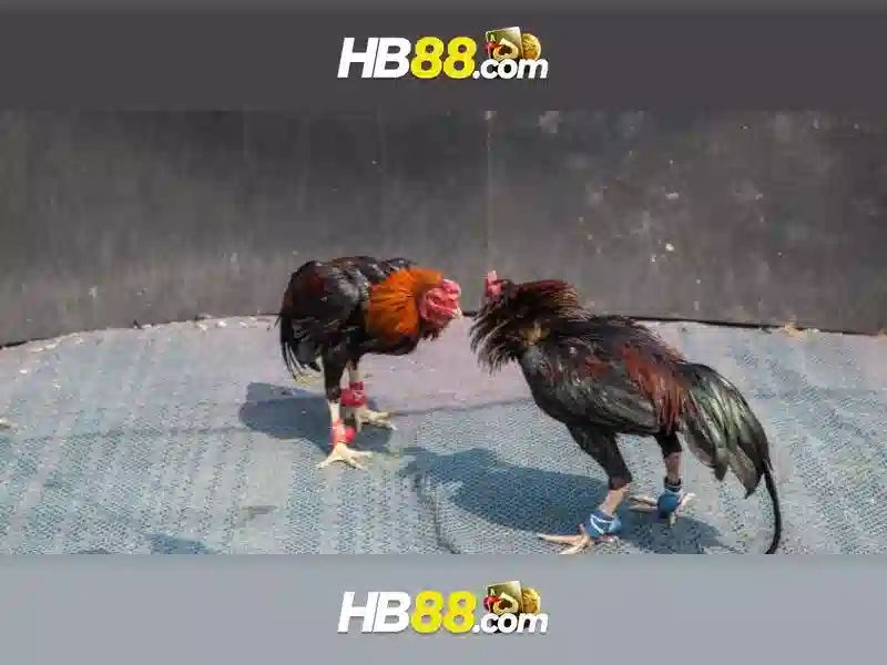 Quy Trình Xác Thực 2 Lớp HB88