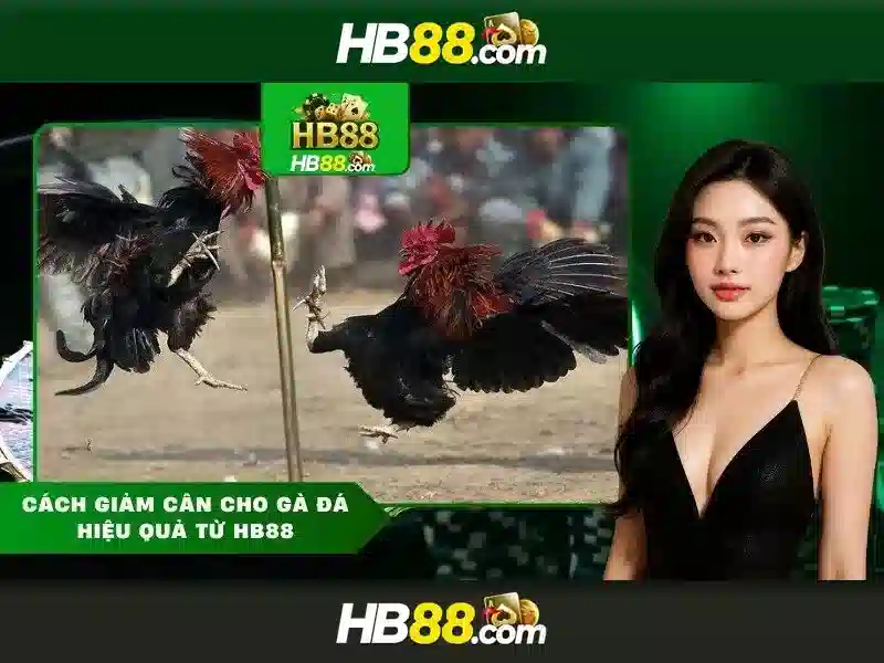 Trải nghiệm Slot độc đáo