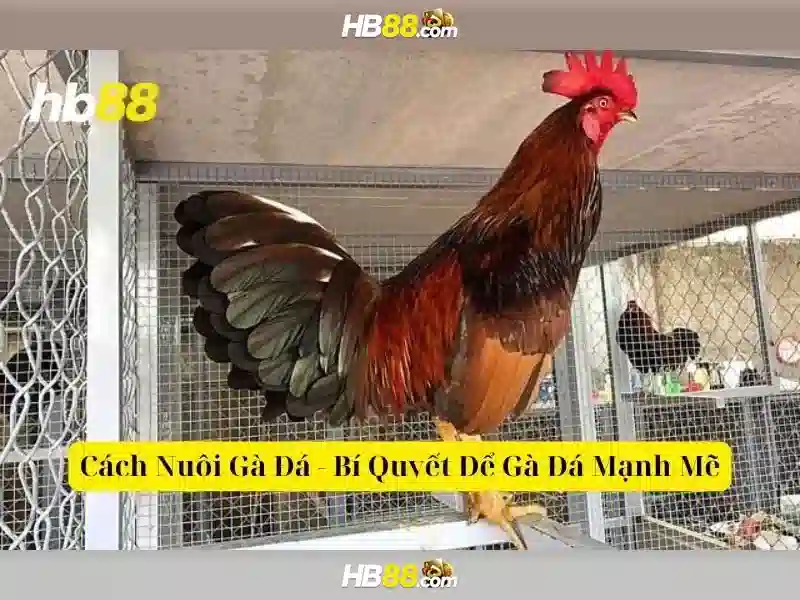 HB88 – Trải Nghiệm Game Slot Đỉnh Cao Với hb88 game 2026