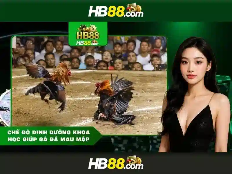 Đa dạng game Slot