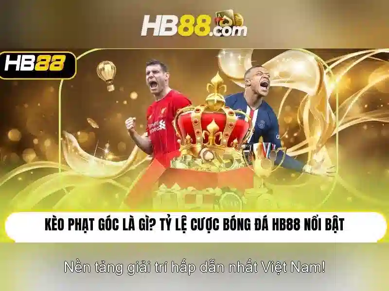 Hướng dẫn tải HB88 APK