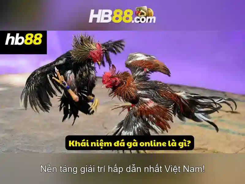 Hướng Dẫn Chuyển Tiền
