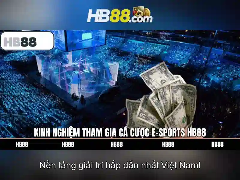 Điều Khoản Và Điều Kiện