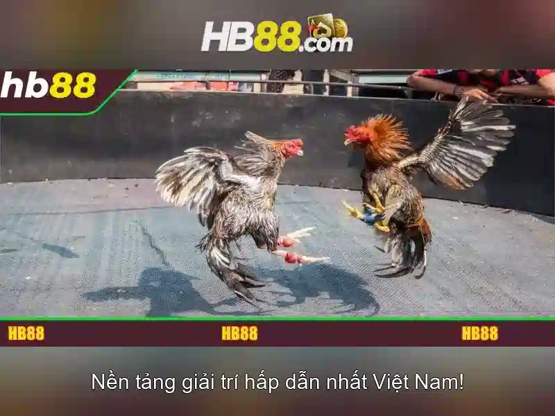 Trải nghiệm Slot trực tiếp