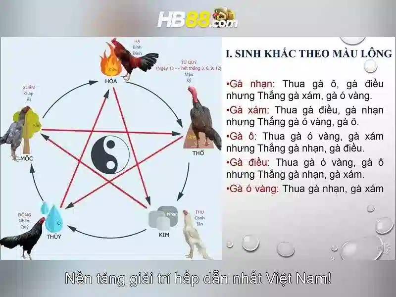 Trải nghiệm chơi Slot
