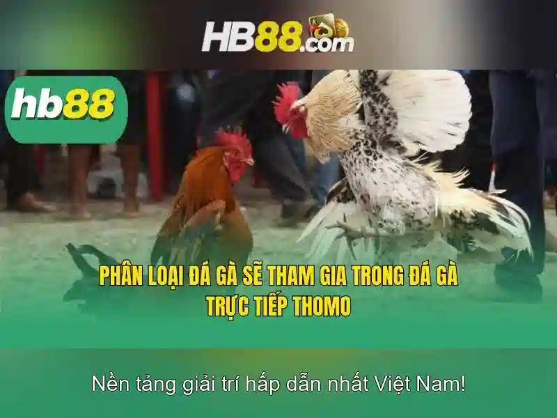 Đăng Nhập hb88 Login