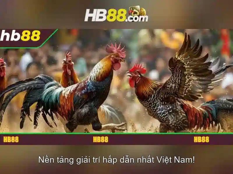 HB88 đăng ký