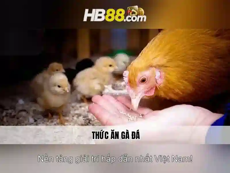 Ưu Điểm Slot