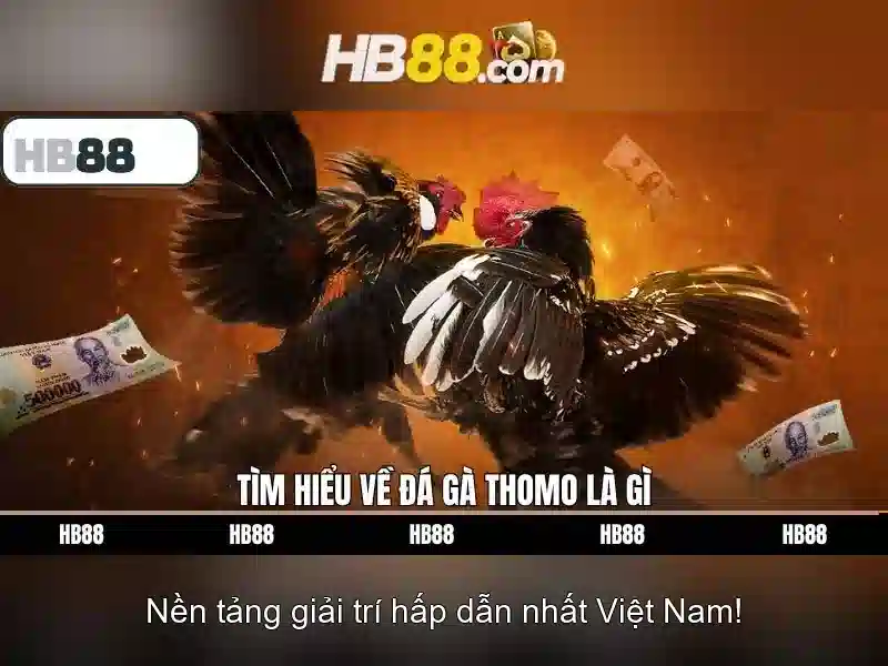 HB88 APK – Ứng Dụng Di Động Slot Đa Dạng Cho Người Chơi 2026
