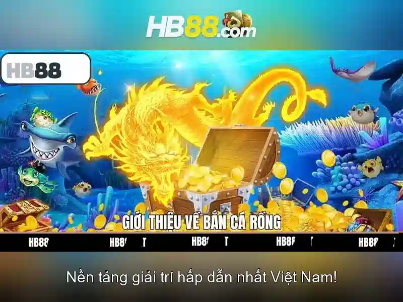 HB88 chính thức