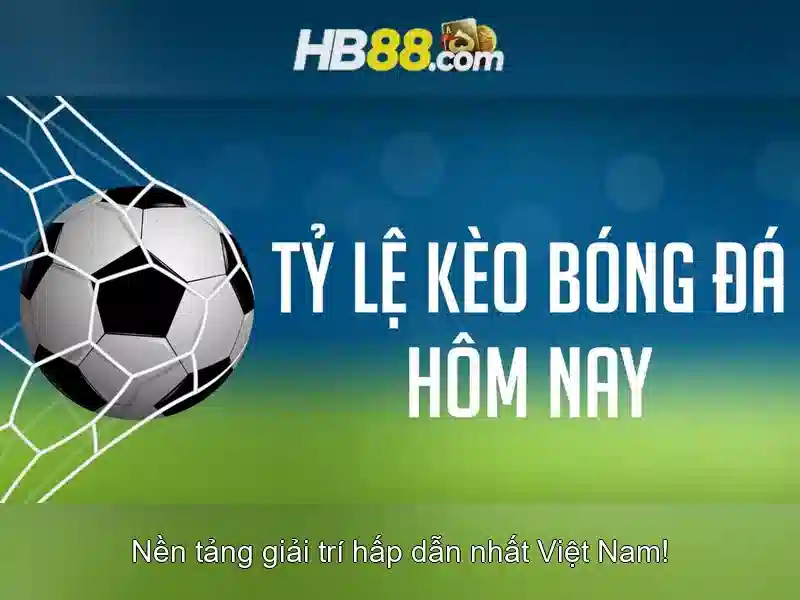tra cứu hb88