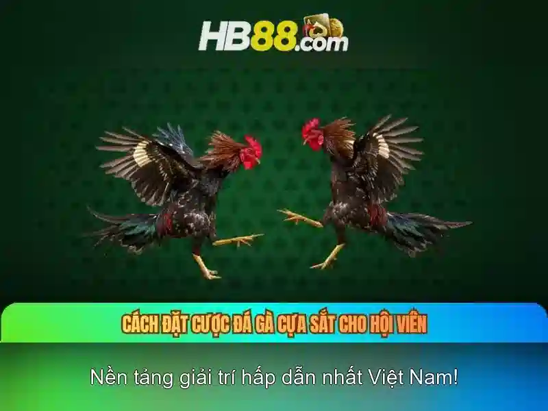 Ưu Đãi Đặc Biệt Cho Người Chơi