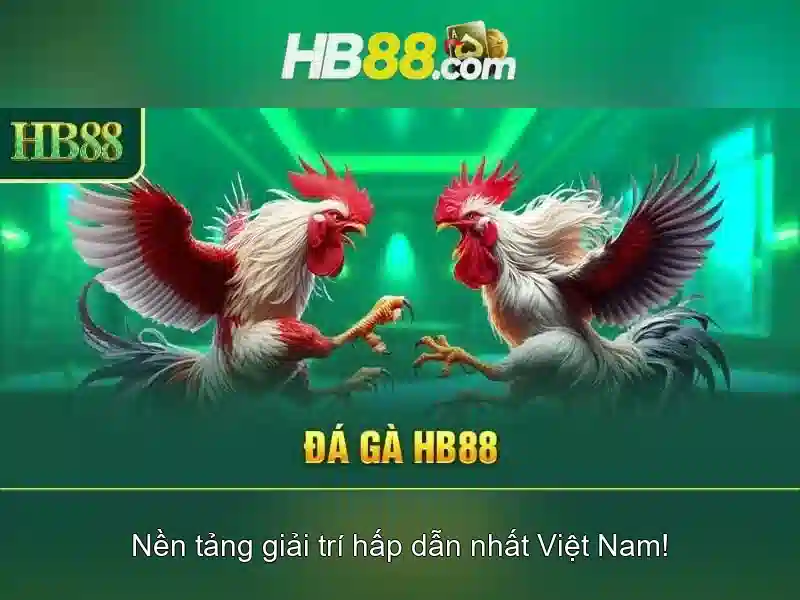 Hướng Dẫn Sử Dụng HB88 Android
