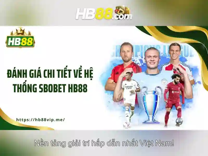 Trách Nhiệm Người Chơi – Xây Dựng Môi Trường Cá Cược An Toàn Tại HB88